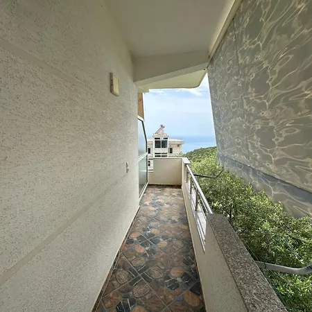 Otel Hyso Vela Piqeras