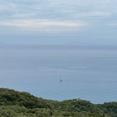 Hyso Vela